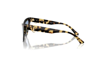 [glasses-side-view] Jimmy Choo JC5008 (500472)
