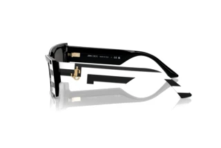 [glasses-side-view] Jimmy Choo JC5009 (502987)