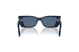 [glasses-back-view] Jimmy Choo JC5009 (503180)