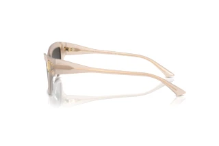 [glasses-side-view] Jimmy Choo JC5011U (502587)