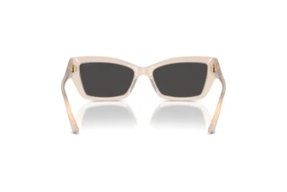 [glasses-back-view] Jimmy Choo JC5011U (502587)