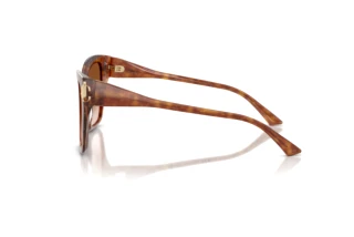 [glasses-side-view] Jimmy Choo JC5012 (511413)