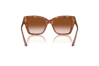 [glasses-back-view] Jimmy Choo JC5012 (511413)