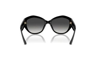 [glasses-back-view] Jimmy Choo JC5013U (50008G)