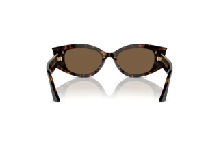 [glasses-back-view] Jimmy Choo JC5015U (500273)