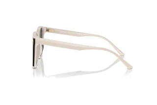 [glasses-side-view] Jimmy Choo JC5016D (500887)