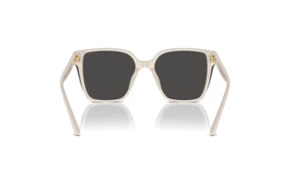 [glasses-back-view] Jimmy Choo JC5016D (500887)