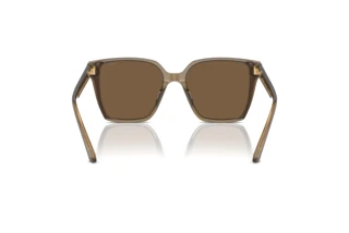 [glasses-back-view] Jimmy Choo JC5016D (505173)