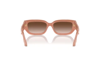 [glasses-back-view] Jimmy Choo JC5017 (503213)