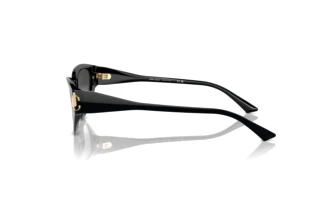 Vista lateral Jimmy Choo JC5019 (50008G)