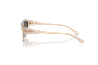 [glasses-side-view] Jimmy Choo JC5019 (50258G)