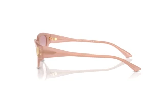 [glasses-side-view] Jimmy Choo JC5019 (502768)