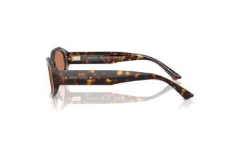 [glasses-side-view] Jimmy Choo JC5021BU (500273)