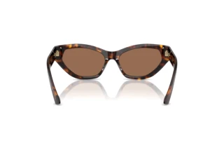 [glasses-back-view] Jimmy Choo JC5022B (500273)