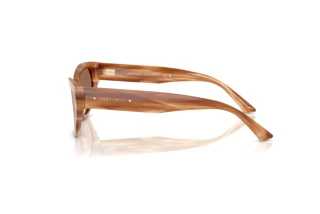 Πλευρική όψη Jimmy Choo JC5022B (505573)
