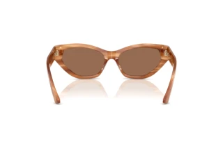 Πίσω όψη Jimmy Choo JC5022B (505573)