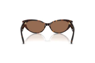 [glasses-back-view] Jimmy Choo JC5023H (500273)