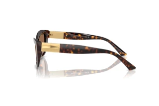 [glasses-side-view] Jimmy Choo JC5030U (500273)