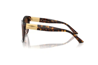 [glasses-side-view] Jimmy Choo JC5031 (500213)