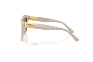 [glasses-side-view] Jimmy Choo JC5031 (50336I)