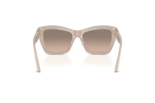 [glasses-back-view] Jimmy Choo JC5031 (50336I)