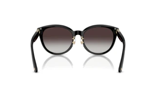 [glasses-back-view] Jimmy Choo JC5032D (500086)