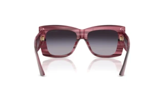 Vista posterior Jimmy Choo JC5036B (50648G)