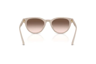 Vista posterior Jimmy Choo JC5043D (50333B)