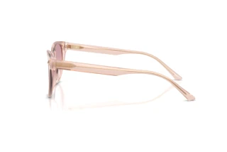 Πλευρική όψη Jimmy Choo JC5043D (505268)