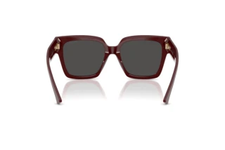 Vedere din spate Jimmy Choo JC5047B (505787)