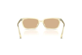 Vedere din spate Jimmy Choo JC5050U (5083/8)