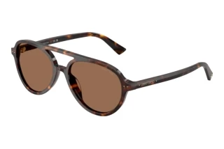 Vedere din față Jimmy Choo JC5055U (500273)