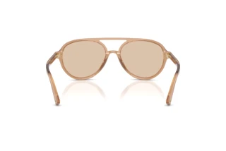 [glasses-back-view] Jimmy Choo JC5055U (507693)