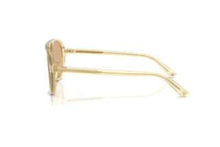[glasses-side-view] Jimmy Choo JC5055U (5083/8)