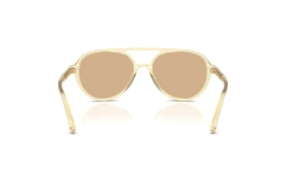 [glasses-back-view] Jimmy Choo JC5055U (5083/8)