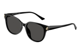 Vedere din față Jimmy Choo JC5057D (500087)