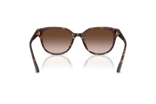 Vedere din spate Jimmy Choo JC5057D (500213)