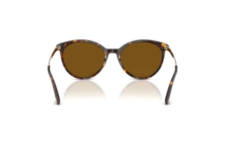 [glasses-back-view] Jimmy Choo JC5060 (500283)