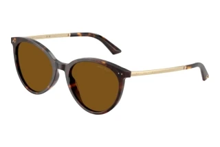 [glasses-front-view] Jimmy Choo JC5060 (500283)