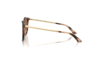 Vista lateral Jimmy Choo JC5060 (509773)
