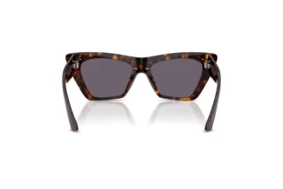 Πίσω όψη Jimmy Choo JC5062U (50021A)