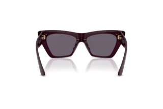 Πίσω όψη Jimmy Choo JC5062U (50751A)