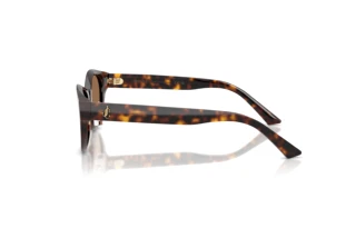 [glasses-side-view] Jimmy Choo JC5064D (500273)
