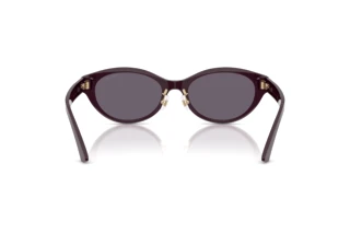 [glasses-back-view] Jimmy Choo JC5064D (50751A)