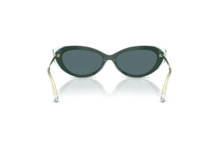 [glasses-back-view] Jimmy Choo JC5065U (510487)