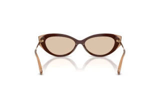 Vista posterior Jimmy Choo JC5065U (510593)