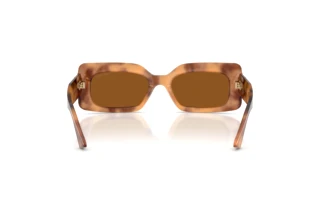[glasses-back-view] Jimmy Choo JC5067 (509673)