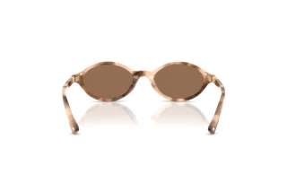 [glasses-back-view] Jimmy Choo JC5068U (509773)