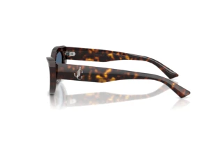 [glasses-side-view] Jimmy Choo JC5075U (500280)