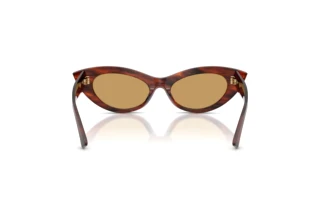 [glasses-back-view] Jimmy Choo JC5075U (511273)